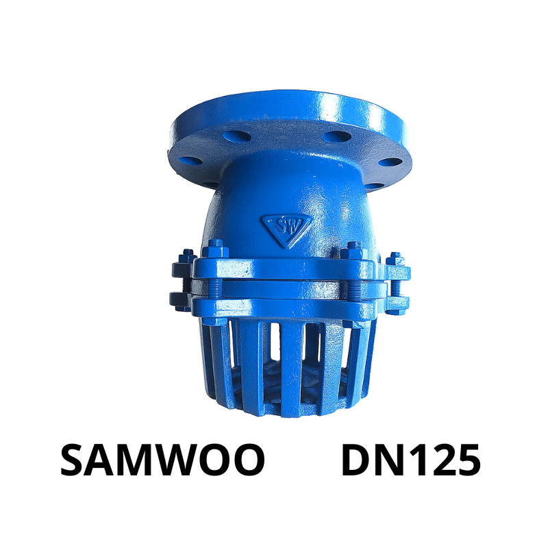 Rọ bơm gang SamWoo DN125