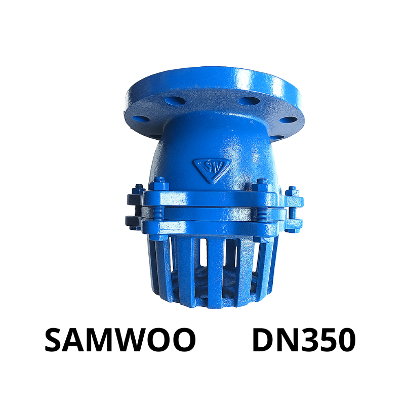 Rọ bơm gang SamWoo DN350