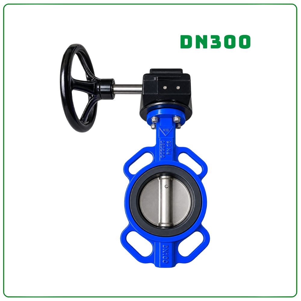 Van bướm tay quay SamWoo DN300