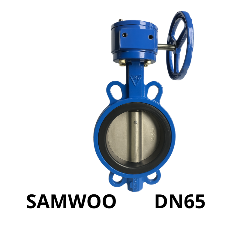 Van bướm tay quay SamWoo DN65