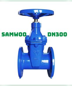 Van cổng Samwoo DN300