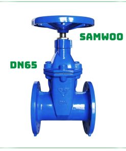 Van cổng Samwoo DN65
