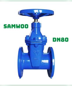Van cổng Samwoo DN80