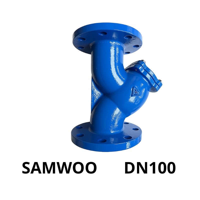 Y lọc SamWoo DN100