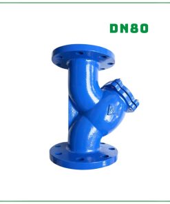 Y lọc SamWoo DN80