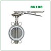 Van bướm tay gạt Inox SamWoo DN100
