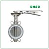 Van bướm tay gạt Inox SamWoo DN80